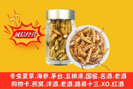 榆林子洲县回收散虫草